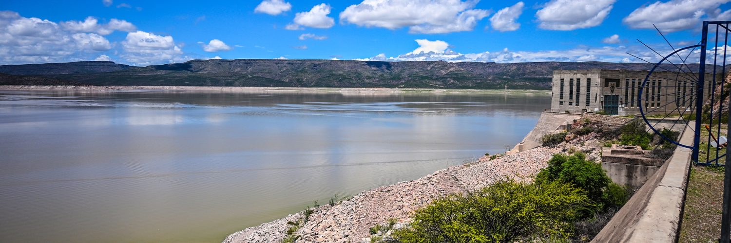 Agua Palmito La Laguna