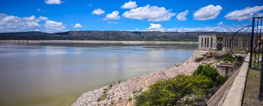 Agua Palmito La Laguna