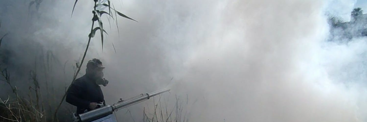 Jornada Nacional Dengue Chikungunya