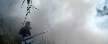 Jornada Nacional Dengue Chikungunya