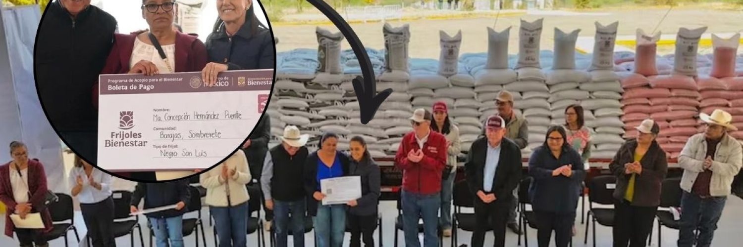 Sheinbaum campo frijol Zacatecas