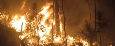 incendio forestal Cuba