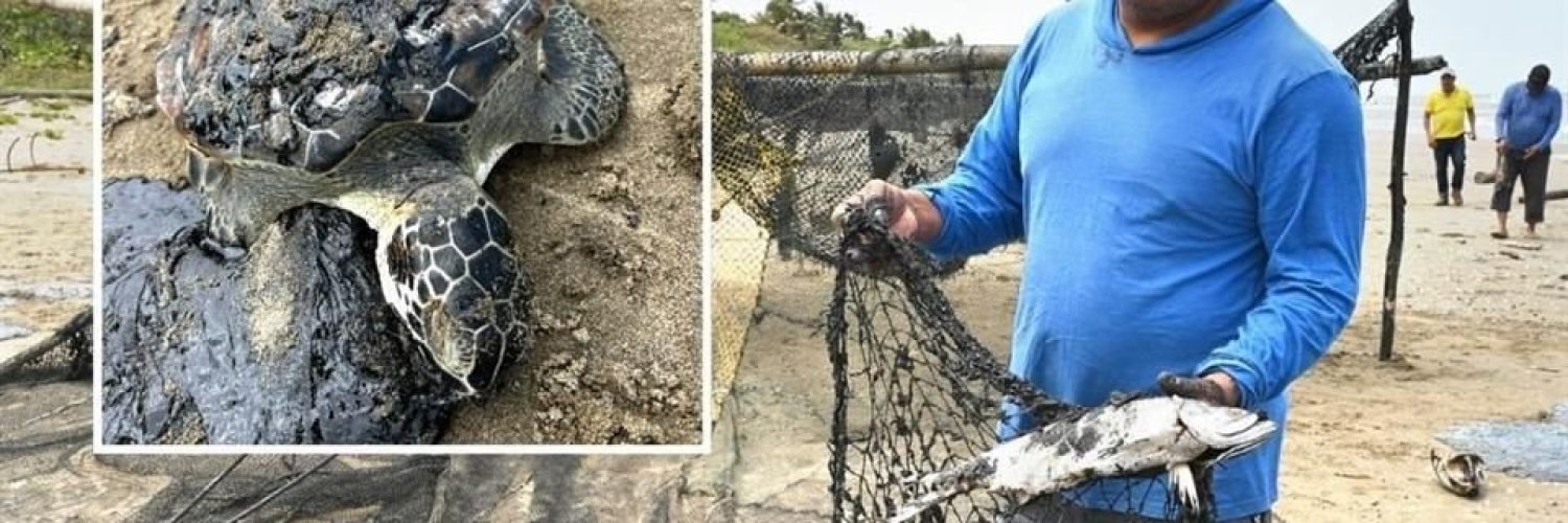 Derrame hidrocarburos Golfo México