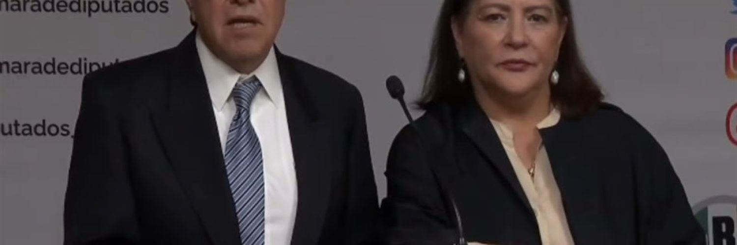 Monreal elección judicial INE