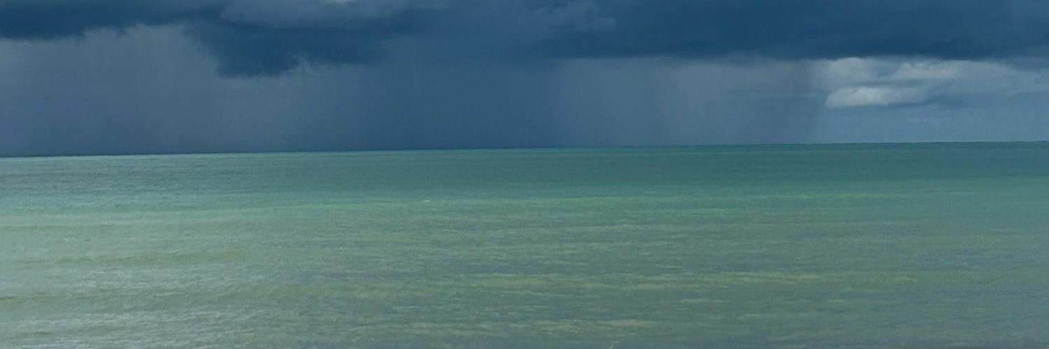 Tormenta Tropical Arthur