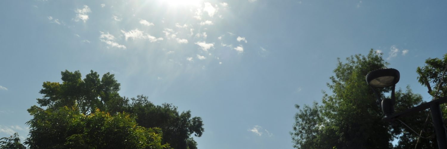 ola de calor Comarca Lagunera