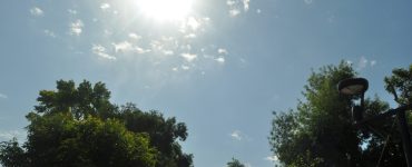 ola de calor Comarca Lagunera