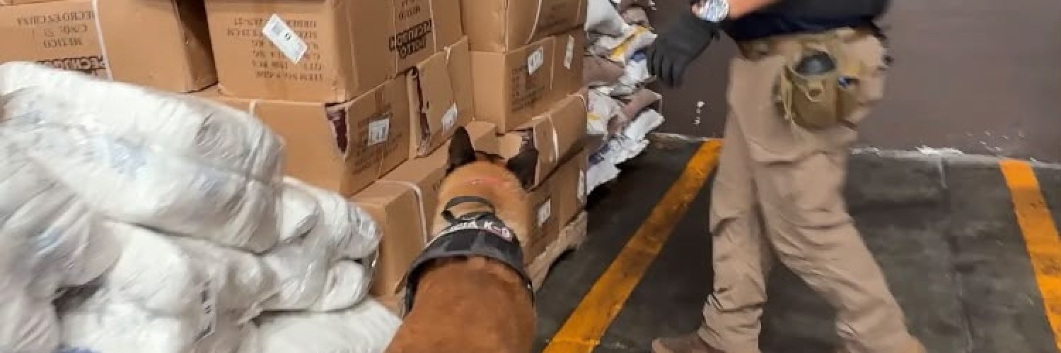 Unidad K-9 Torreón
