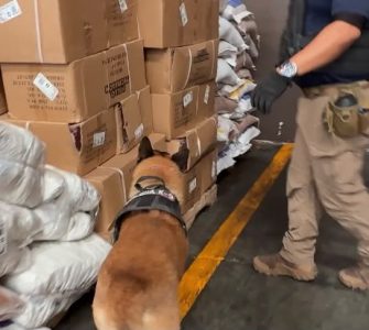 Unidad K-9 Torreón