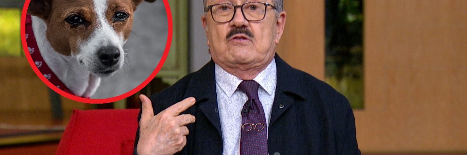 Pedro Sola perros